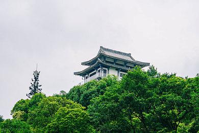 《大鼠帝国》全新预告 2024年第二季度发售